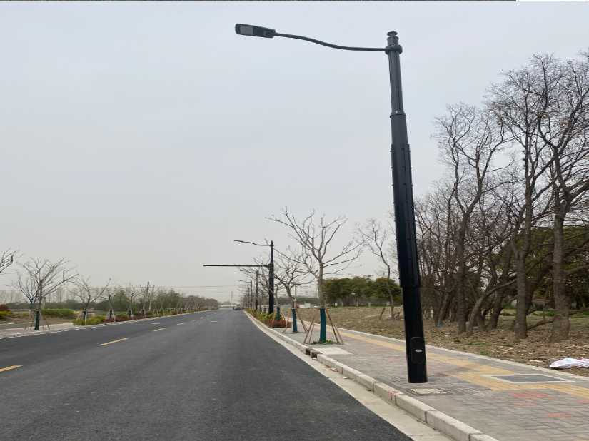 八宿县上海综合杆 太阳能路灯工程